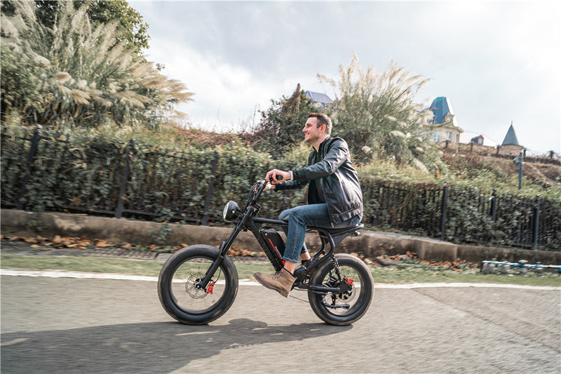 Electric Bike Fat Tires