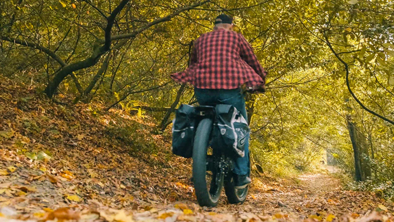 Electric Bike Pedal Assist