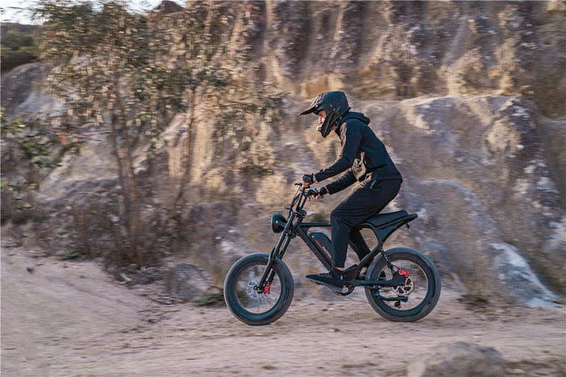 Long range ebike