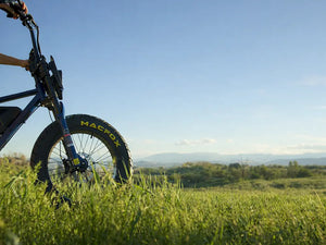 Fat Tire Ebikes vs. Regular Ebikes: Key Differences, Pros, and Best Uses