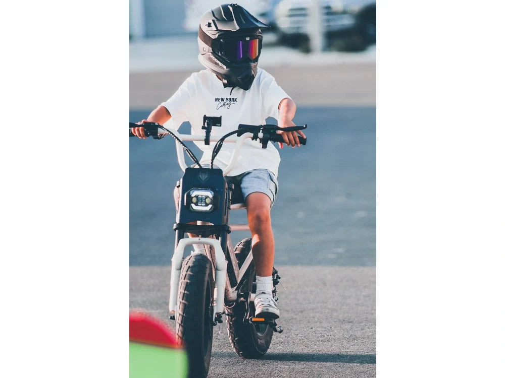 Tern Vektron P10 vs Macfox M16: Fold the Bike or Keep the Ride Low?