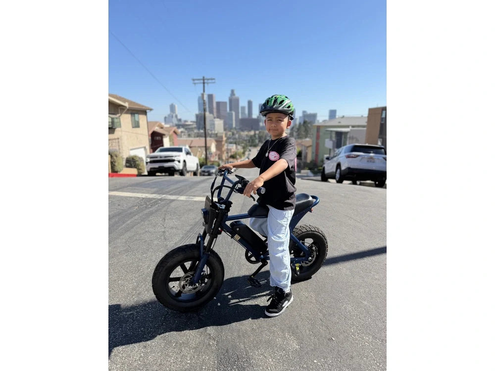 Blix Vika X vs Macfox M16: Folding Convenience or a Lower, Simpler Ride?