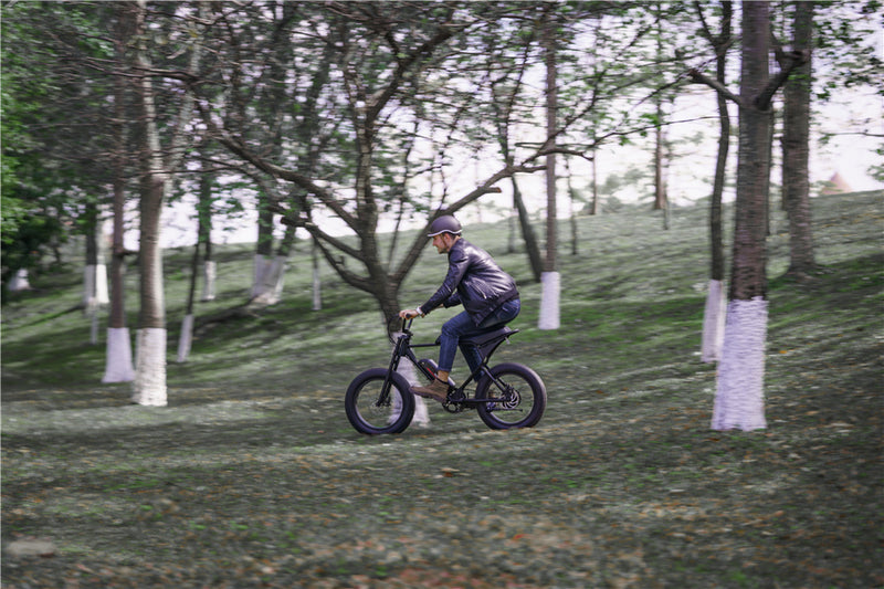 Pedal Assist Electric Bike