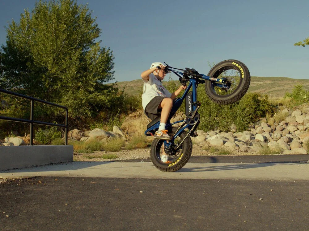 articles/why-choose-the-macfox-x7-fat-tire-electric-bike.webp