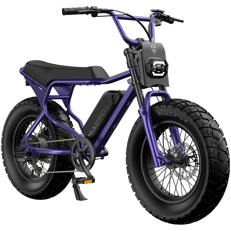 easy motion electric bicycles BH Evo Street Emotion Evo City Electric Bike