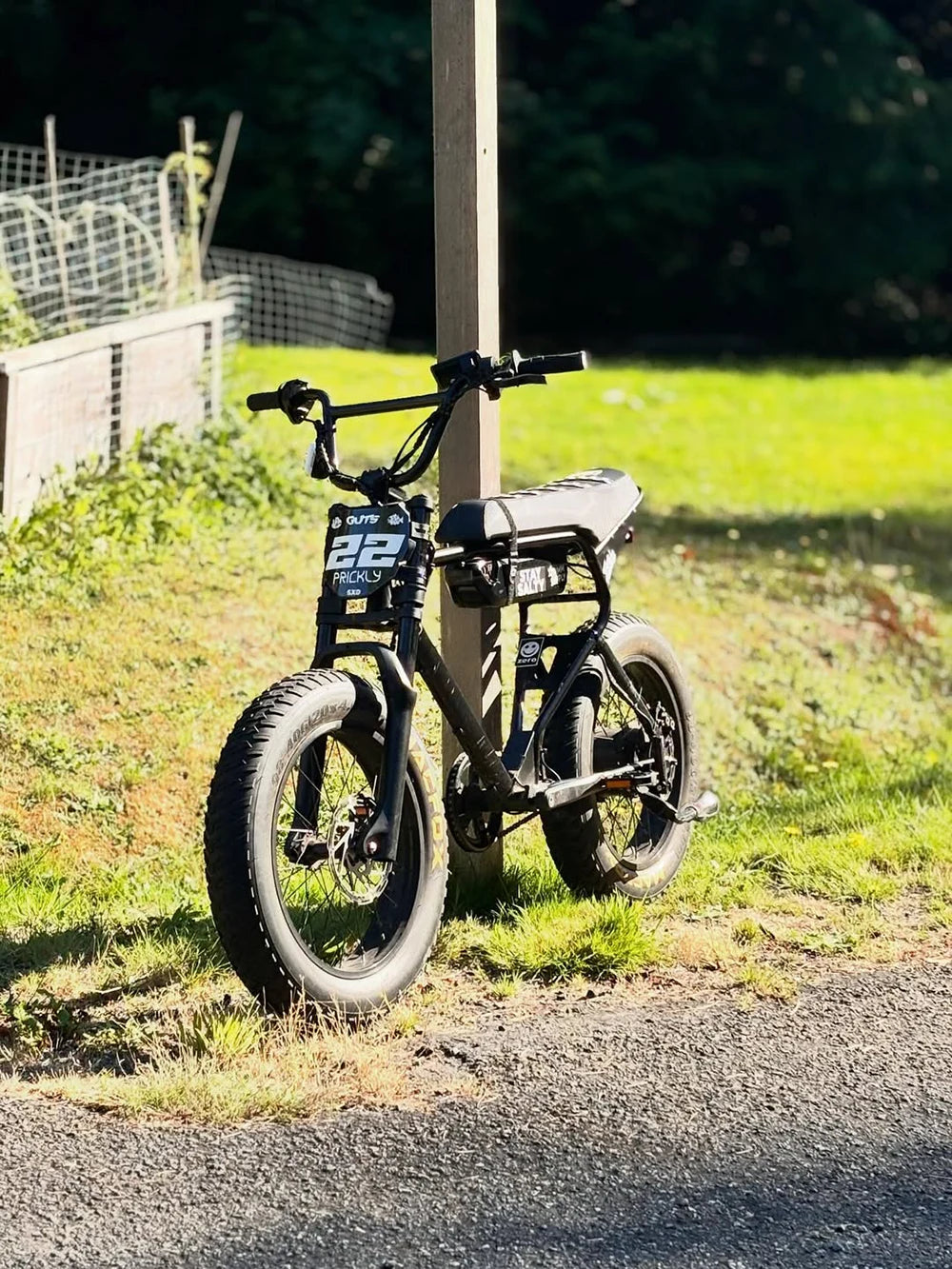 Macfox Light Module Macfox eBike Mod Gallery | Custom Electric Bike Builds