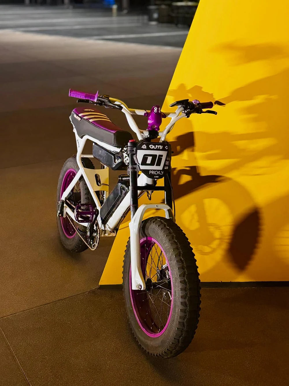 Macfox Light Module Macfox eBike Mod Gallery | Custom Electric Bike Builds