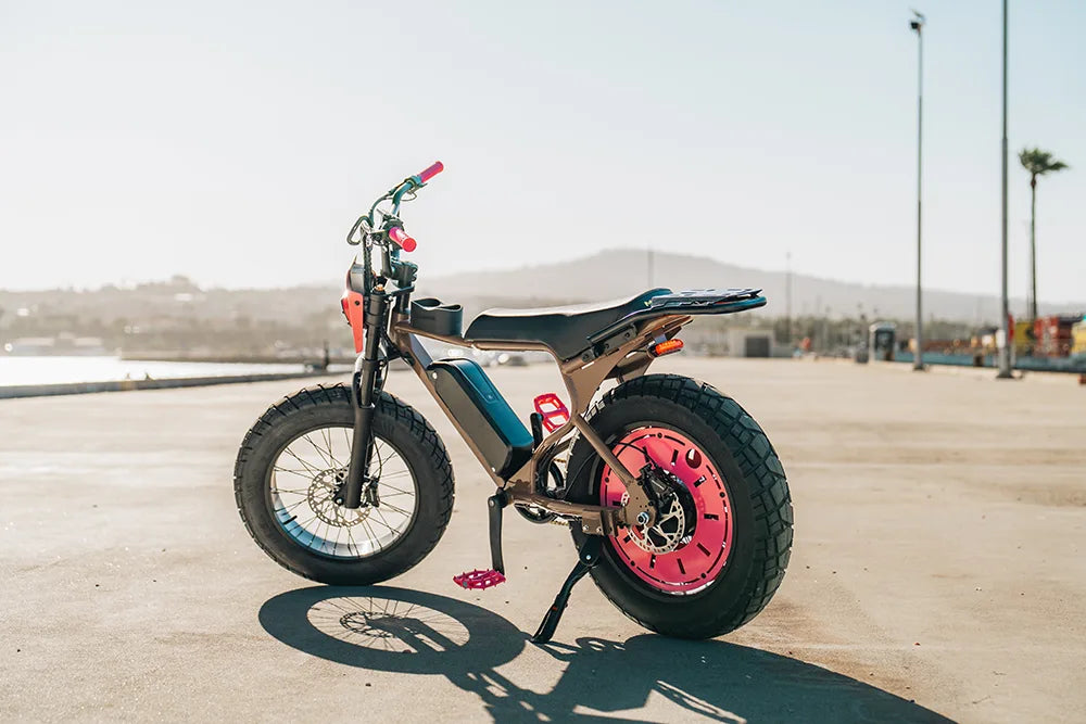 Macfox Light Module Macfox eBike Mod Gallery | Custom Electric Bike Builds