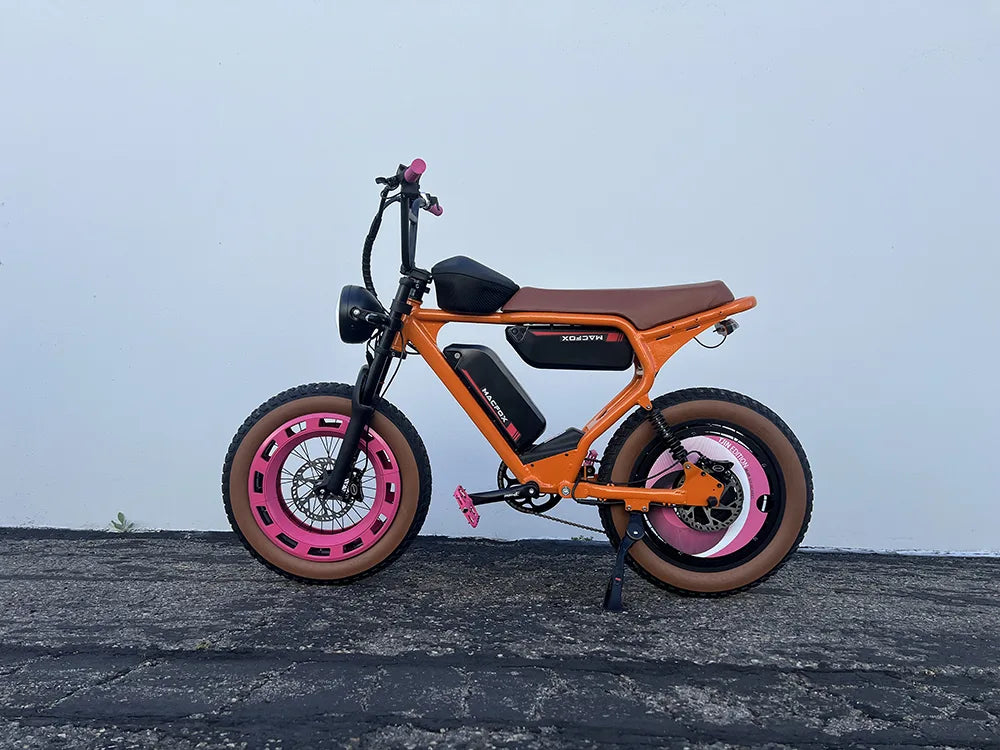 Macfox Light Module Macfox eBike Mod Gallery | Custom Electric Bike Builds